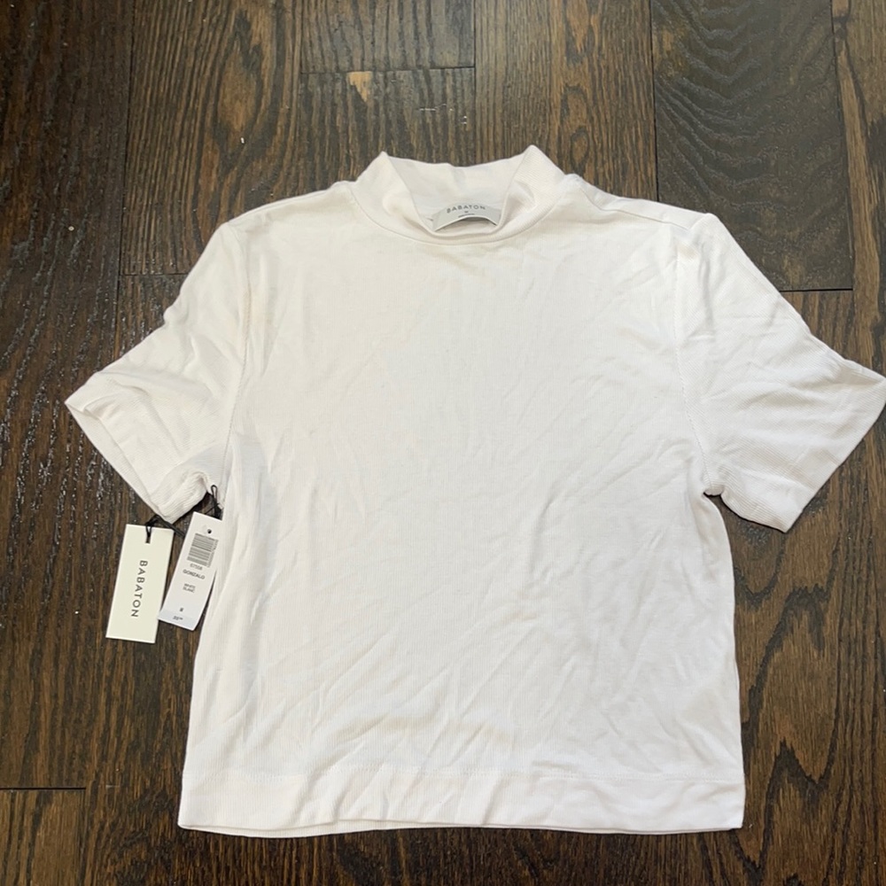 aritzia babaton ,white turtle neck crop top
